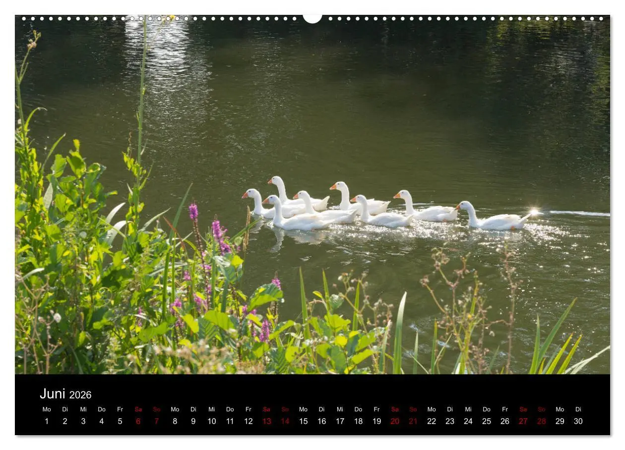 Bild: 9783457895313 | Die Amper - Ansichten eines bayerischen Flusses (Wandkalender 2026...