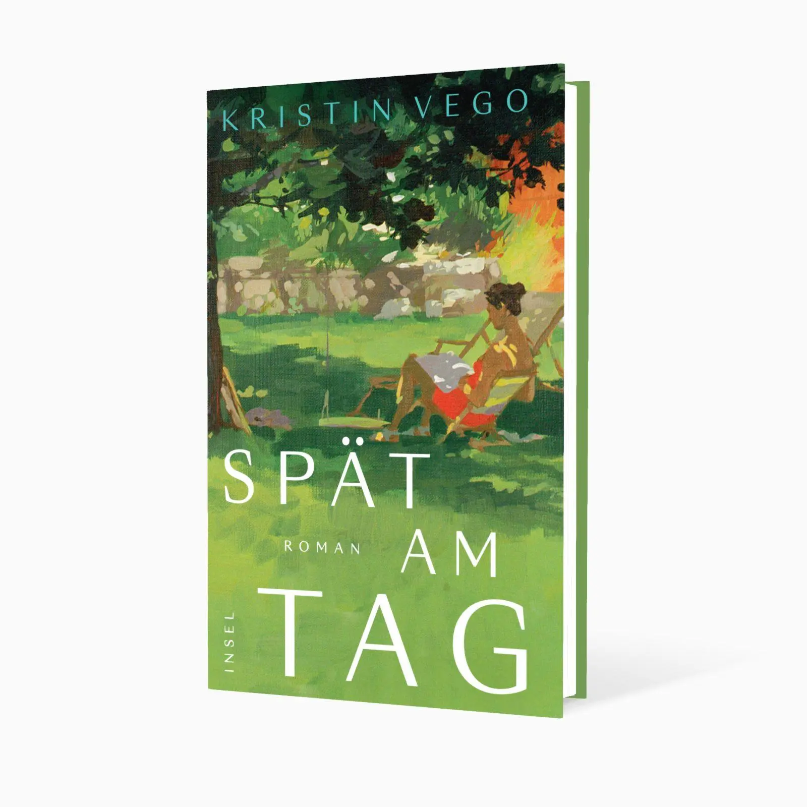 Bild: 9783458645313 | Spät am Tag | Roman Wenn die Zeit vergeht - und die Liebe bleibt