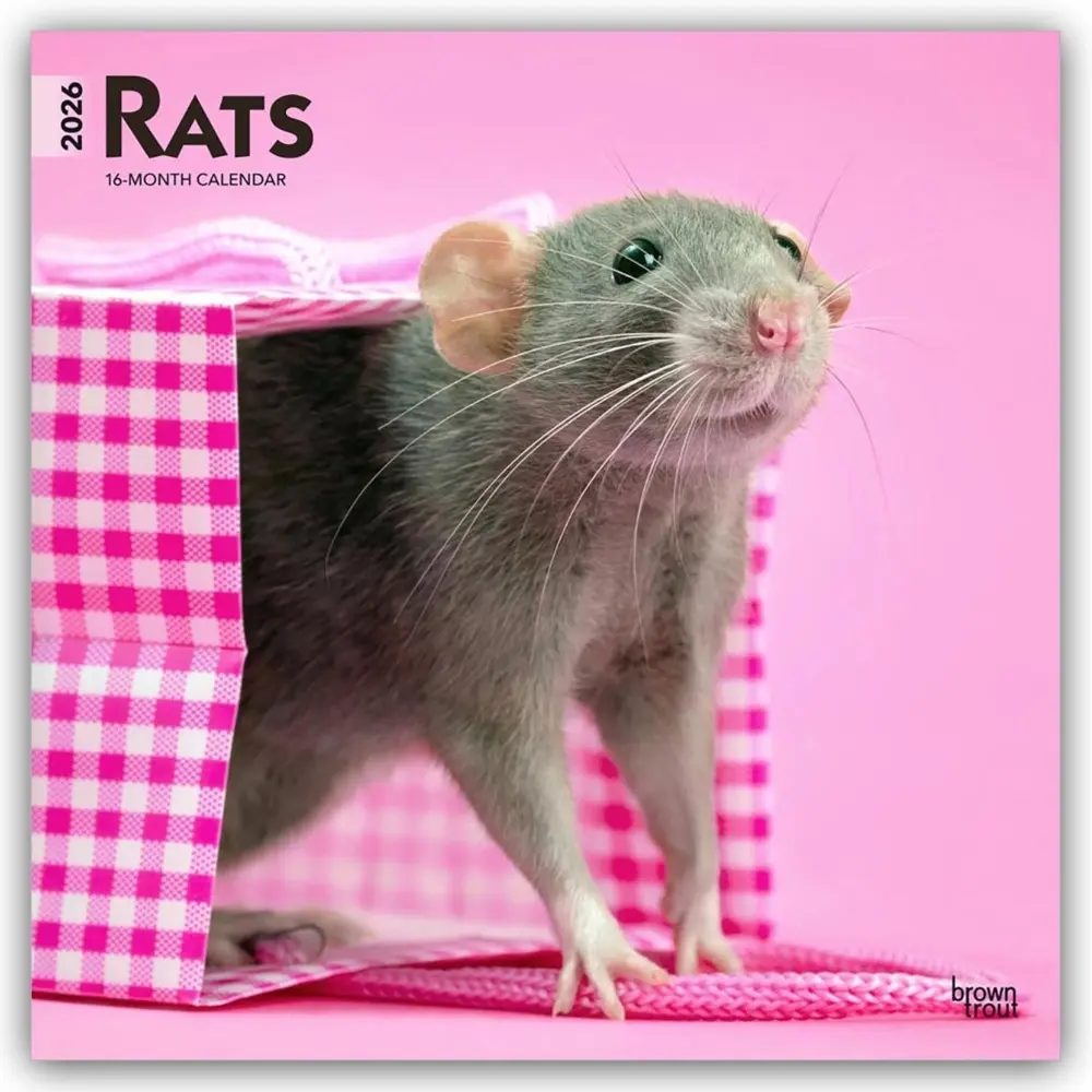 Cover: 9798330705313 | Rats 2026 12 X 24 Inch (Hanging) Monthly Square Wall Calendar...