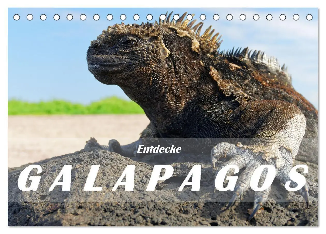 Cover: 9783457405413 | Entdecke Galapagos (Tischkalender 2026 DIN A5 quer), CALVENDO...