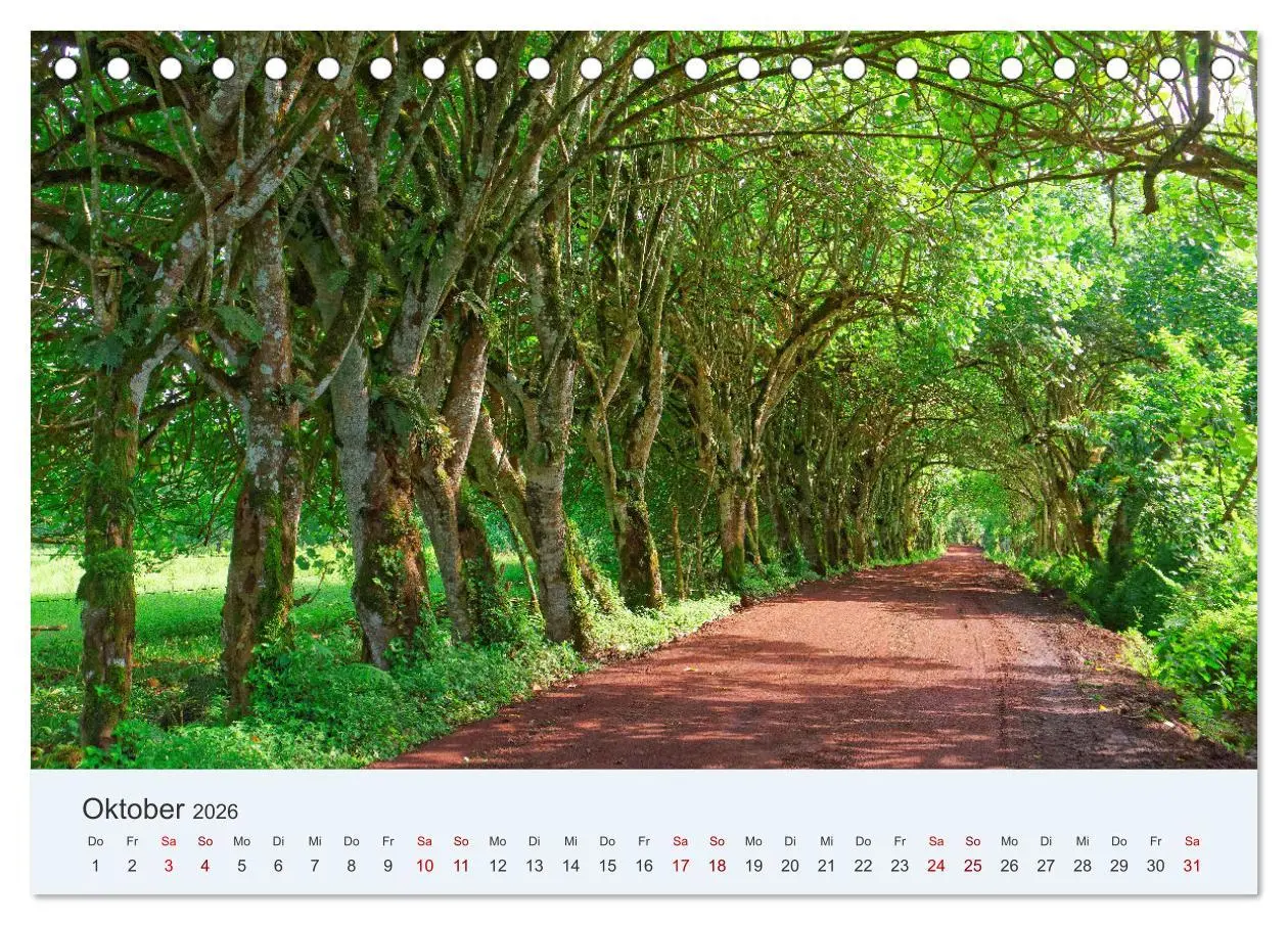 Bild: 9783457405413 | Entdecke Galapagos (Tischkalender 2026 DIN A5 quer), CALVENDO...