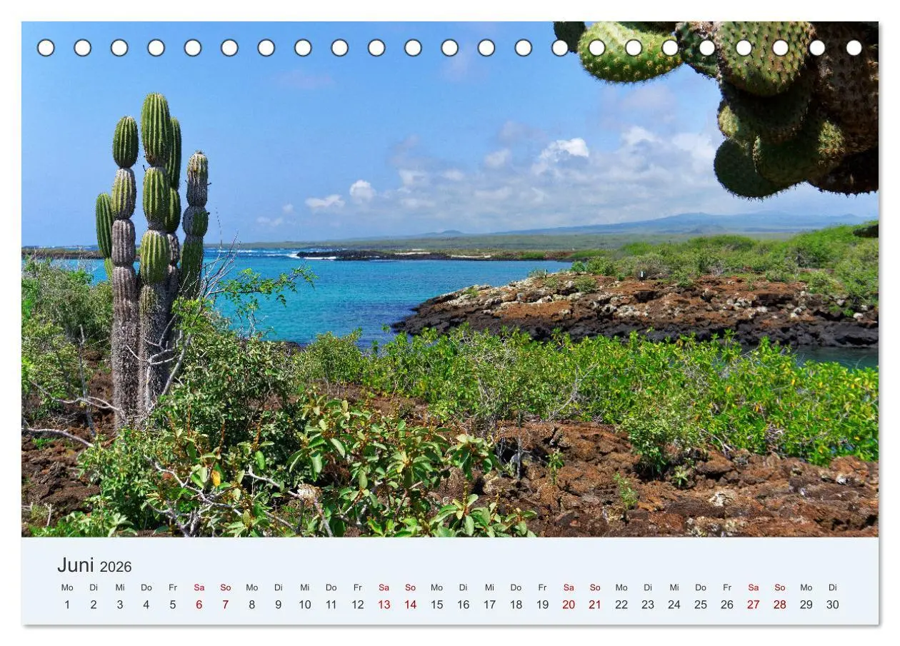 Bild: 9783457405413 | Entdecke Galapagos (Tischkalender 2026 DIN A5 quer), CALVENDO...
