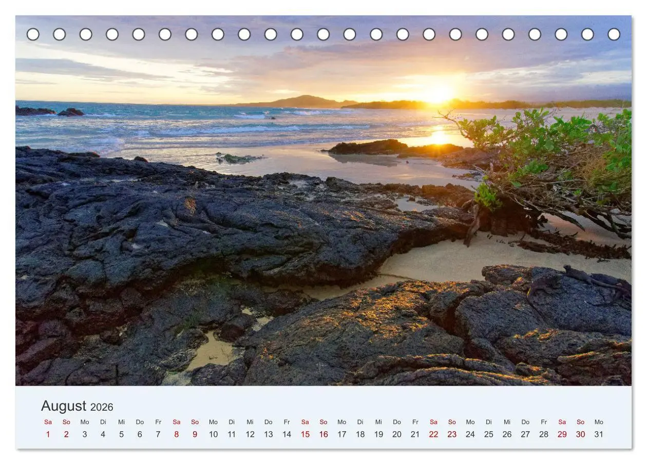 Bild: 9783457405413 | Entdecke Galapagos (Tischkalender 2026 DIN A5 quer), CALVENDO...