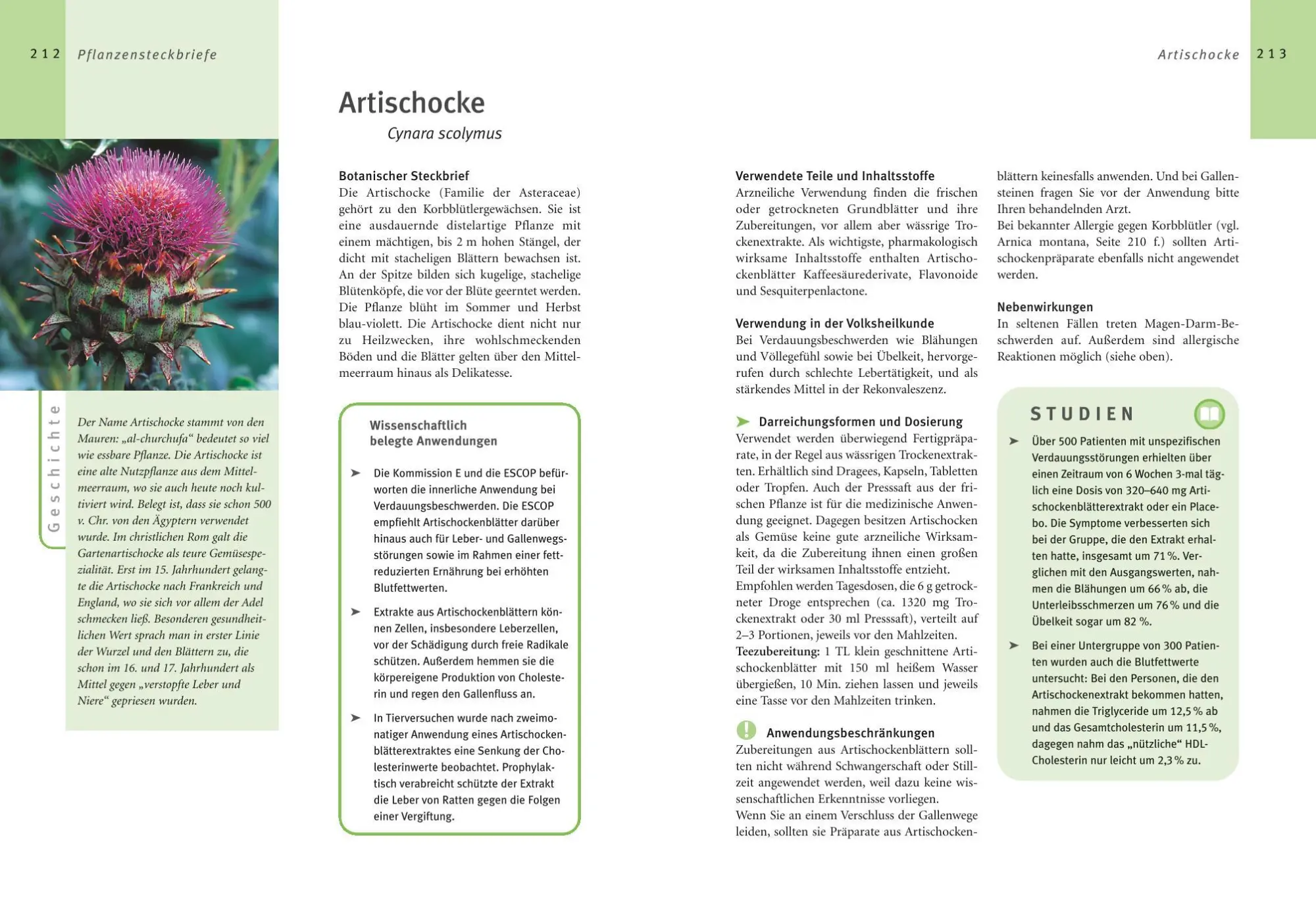 Bild: 9783833845413 | Grüne Apotheke | Mit wissenschaftlich abgesicherten Empfehlungen