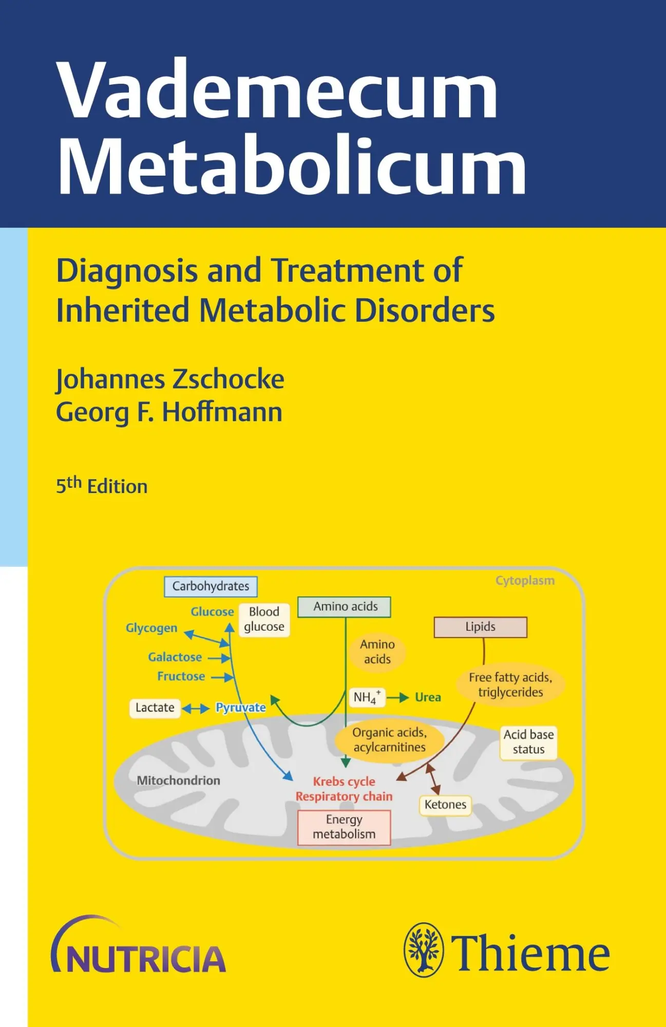 Cover: 9783132435513 | Vademecum Metabolicum | Johannes Zschocke (u. a.) | Taschenbuch | XII