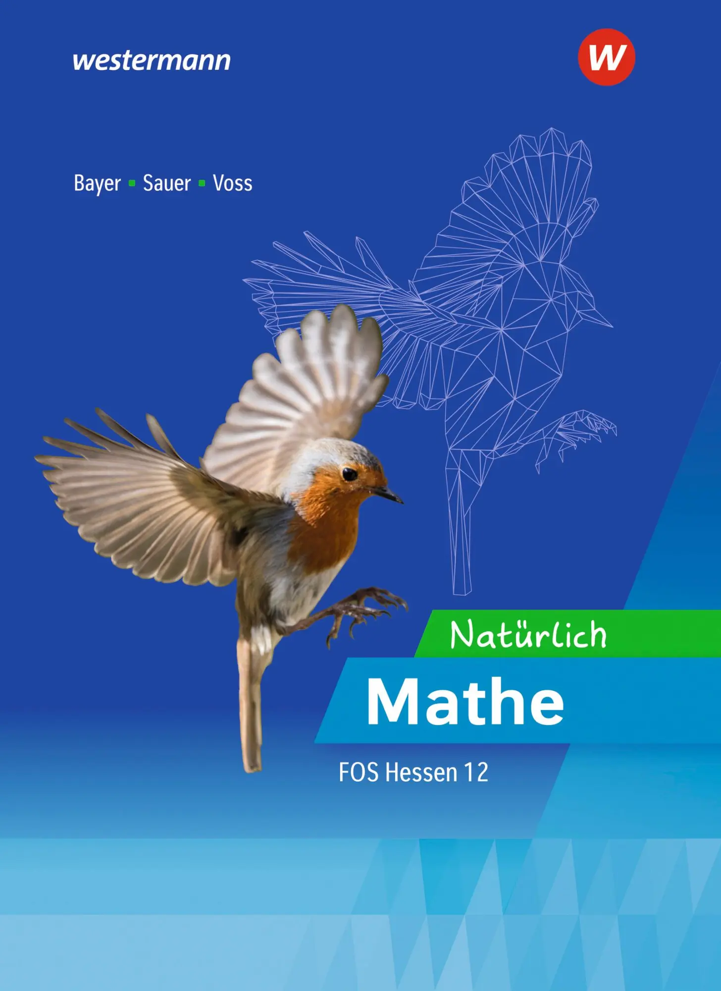 Cover: 9783427485513 | Natürlich Mathe. Ausbildungsabschnitt II: Schulbuch 12. Hessen | Buch