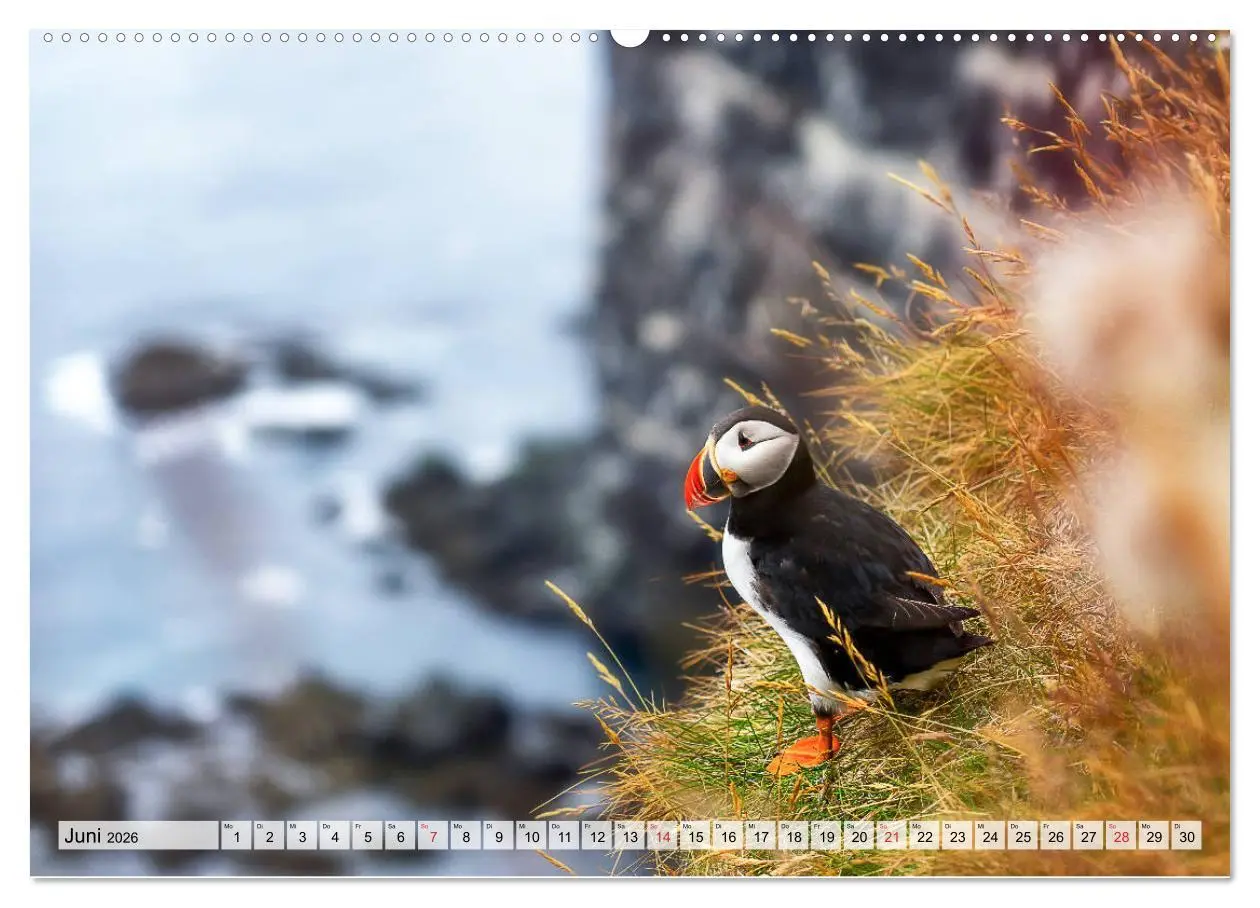 Bild: 9783457705513 | Island - Augenblicke 2026 (hochwertiger Premium Wandkalender 2026...