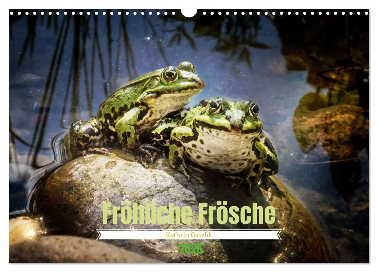 Cover: 9783516655513 | Fröhliche Frösche (Wandkalender 2026 DIN A3 quer), CALVENDO...