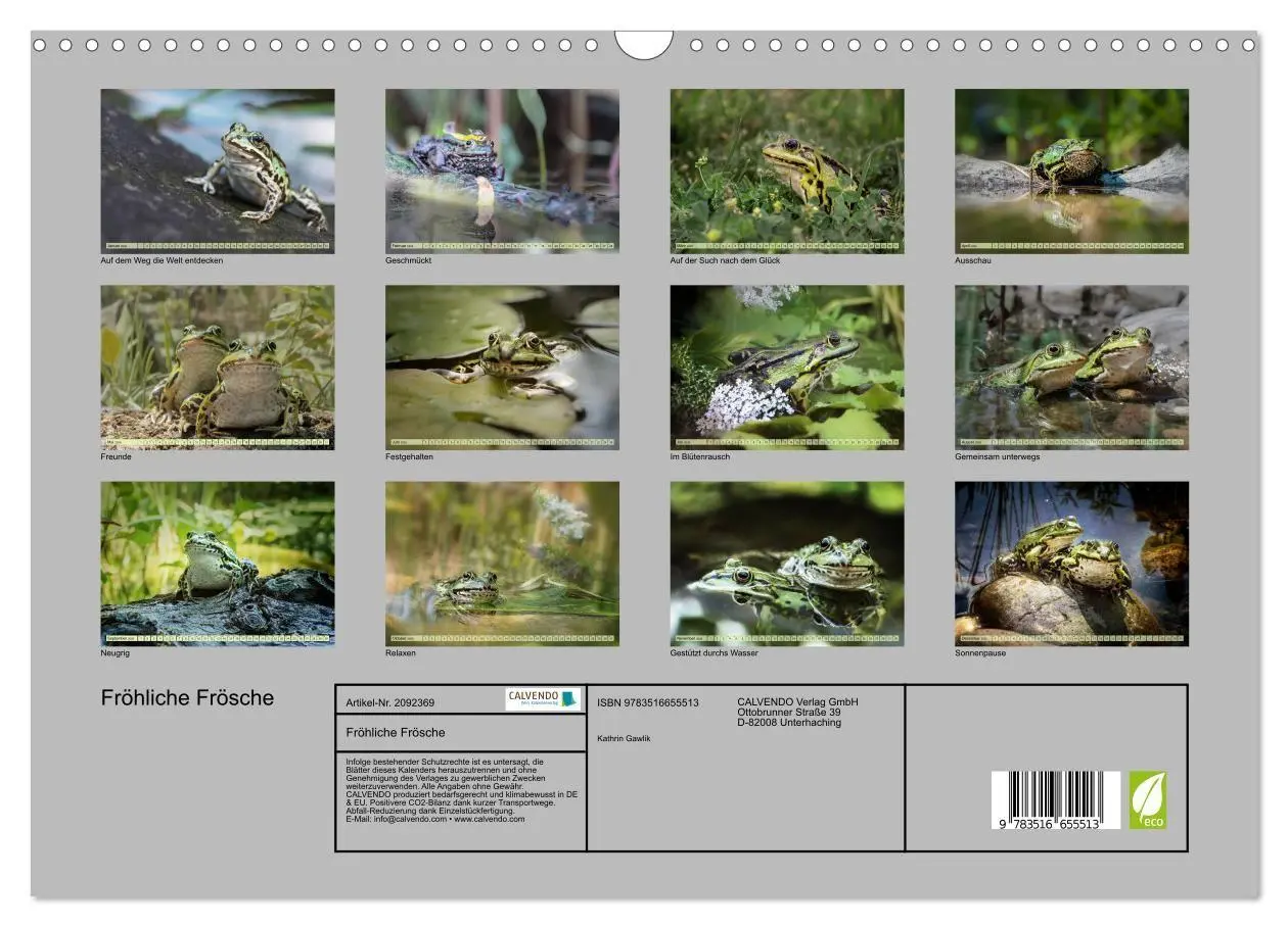 Bild: 9783516655513 | Fröhliche Frösche (Wandkalender 2026 DIN A3 quer), CALVENDO...