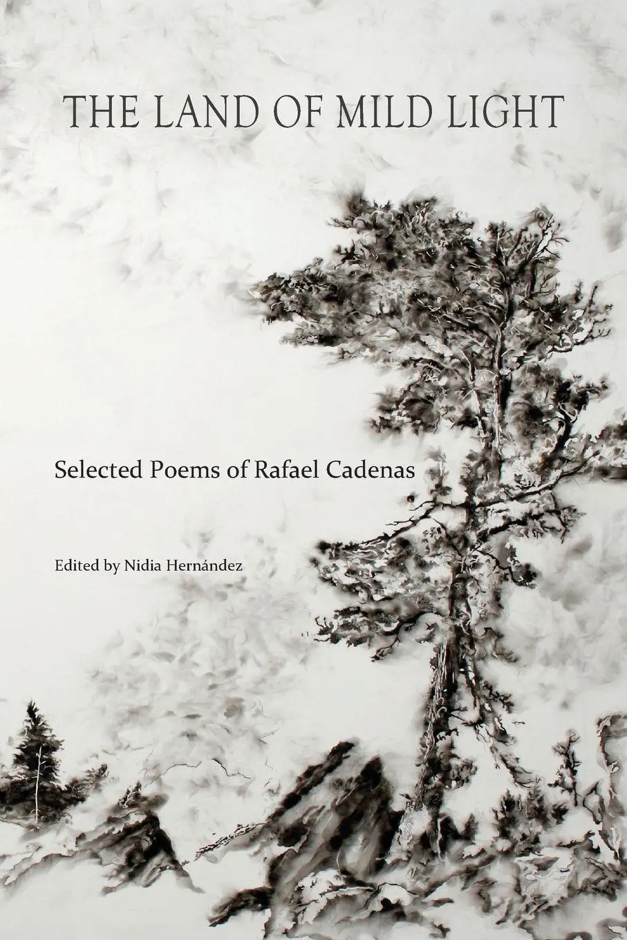 Cover: 9781737615613 | The Land of Mild Light | Selected Poems of Rafael Cadenas | Cadenas