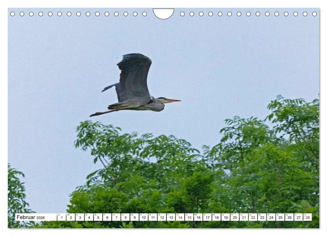 Bild: 9783516715613 | Angeln - Landschaft zwischen Schlei und Flensburger Förde...