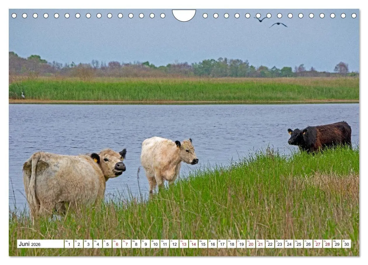 Bild: 9783516715613 | Angeln - Landschaft zwischen Schlei und Flensburger Förde...