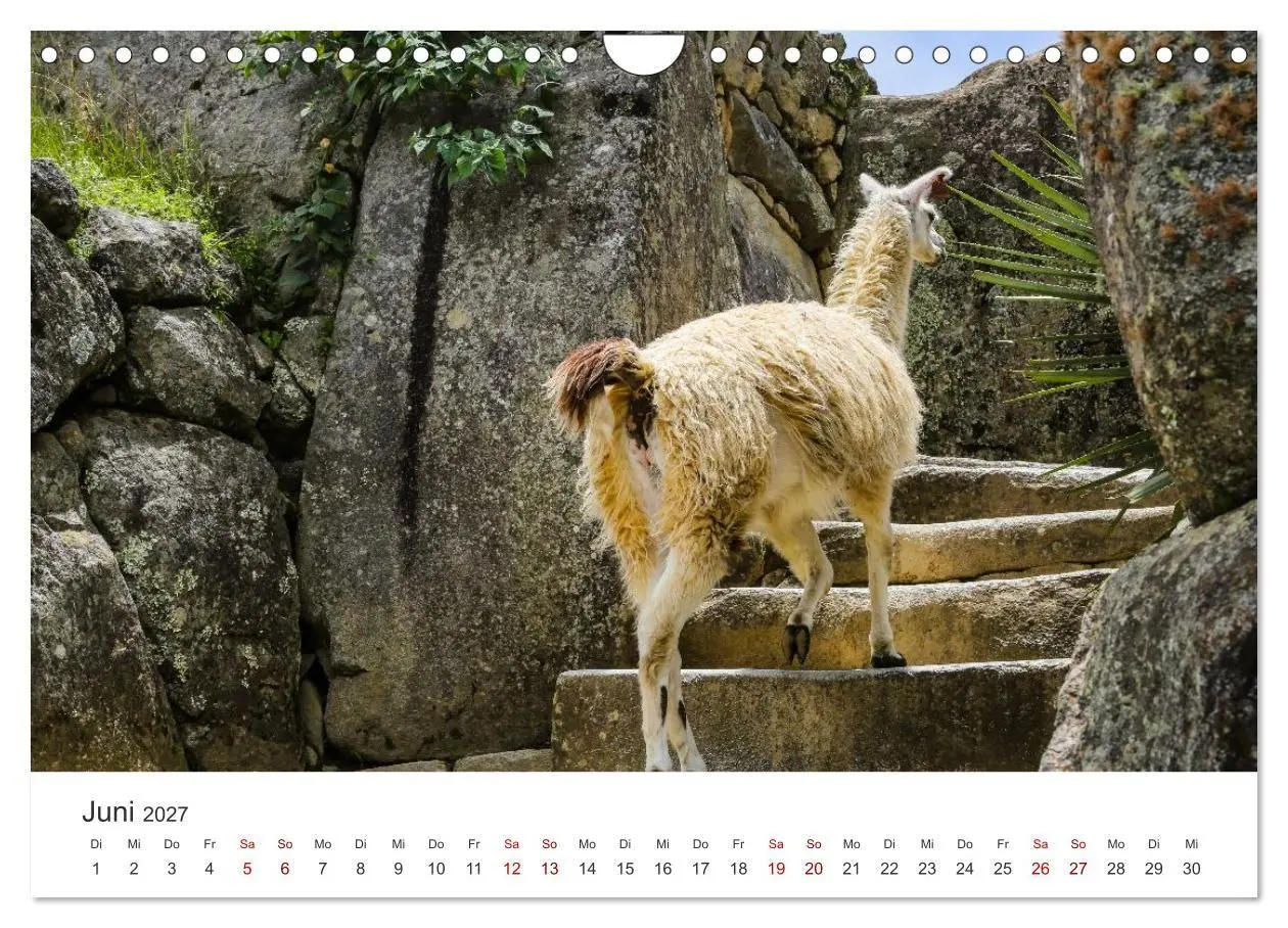 Bild: 9783516885613 | Macchu Picchu (Wandkalender 2027 DIN A4 quer), CALVENDO Monatskalender