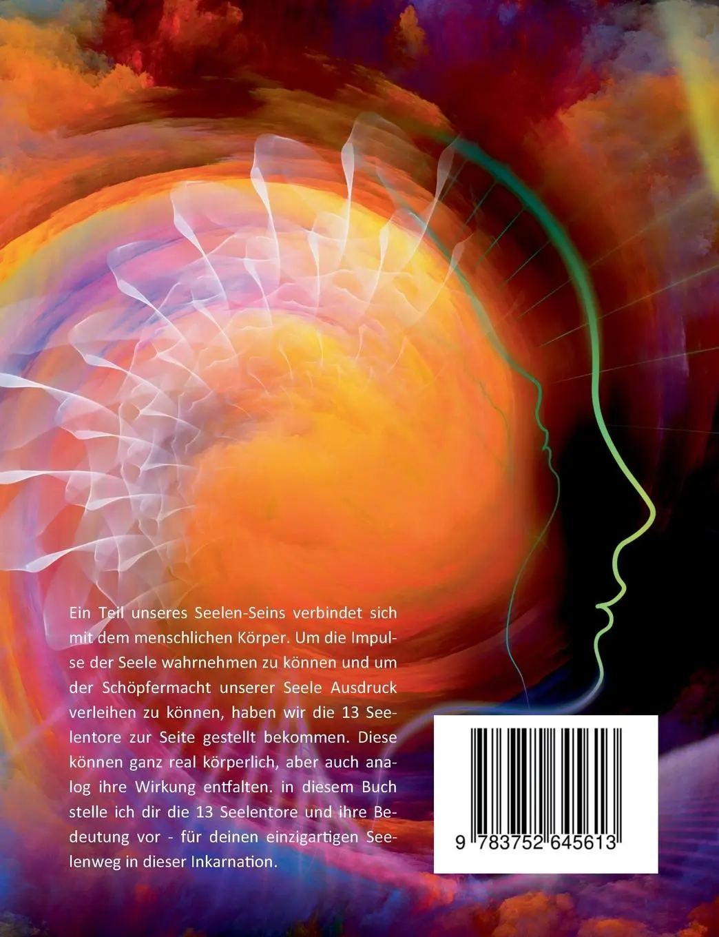 Rückseite: 9783752645613 | Die 13 Seelentore | Jennifer Weidmann | Taschenbuch | Paperback | 2023