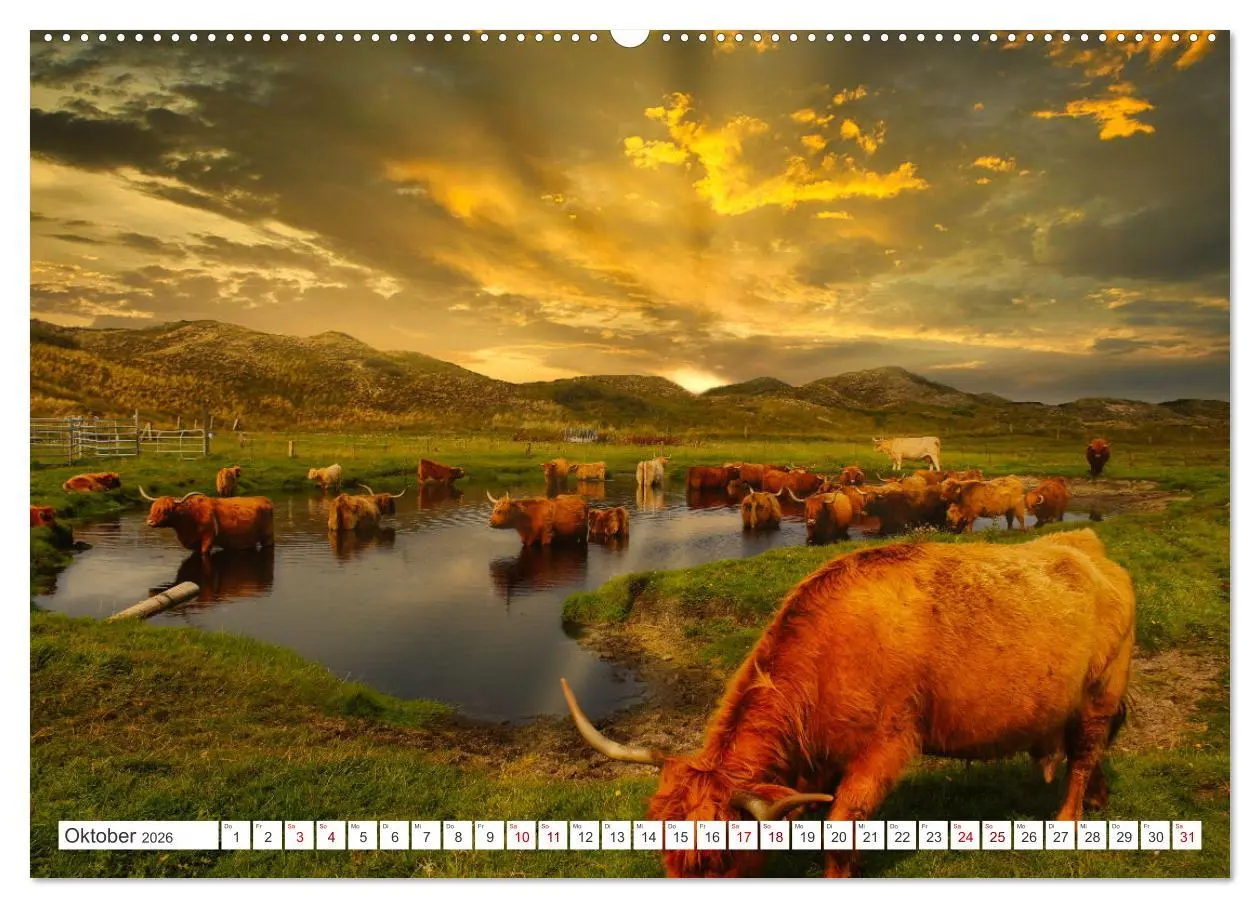 Bild: 9783457545713 | Langeoog - Perle der Natur (Wandkalender 2026 DIN A2 quer),...