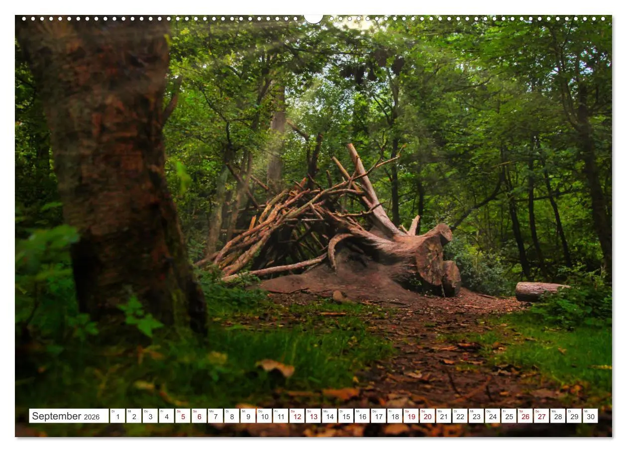 Bild: 9783457545713 | Langeoog - Perle der Natur (Wandkalender 2026 DIN A2 quer),...