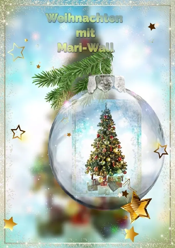 Cover: 9783754925713 | Weihnachten mit Mari-wall | Mari- Wall | Taschenbuch | 36 S. | Deutsch
