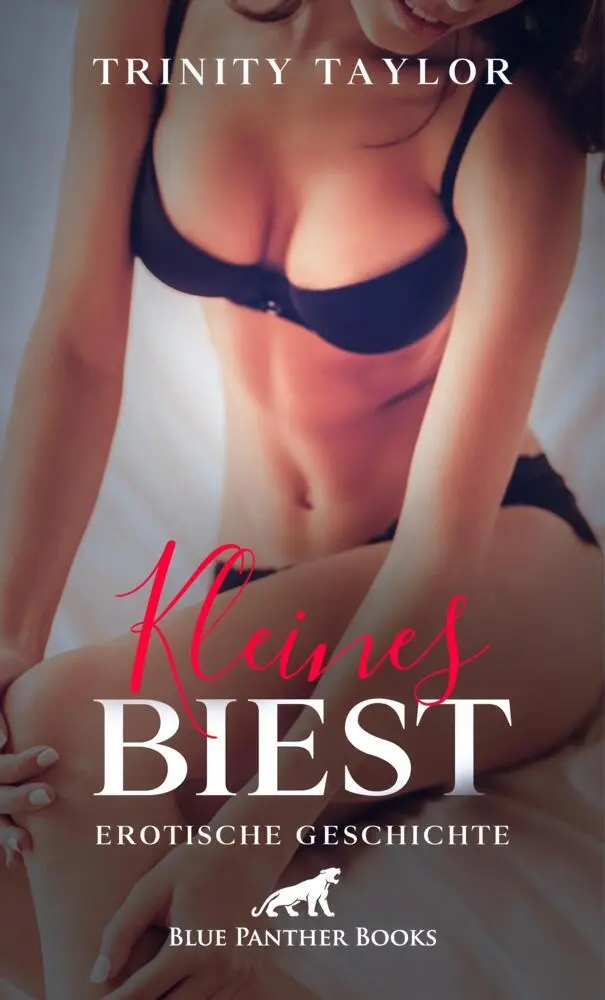Cover: 9783756145713 | Kleines Biest Erotische Geschichte + 1 weitere Geschichte | Taylor
