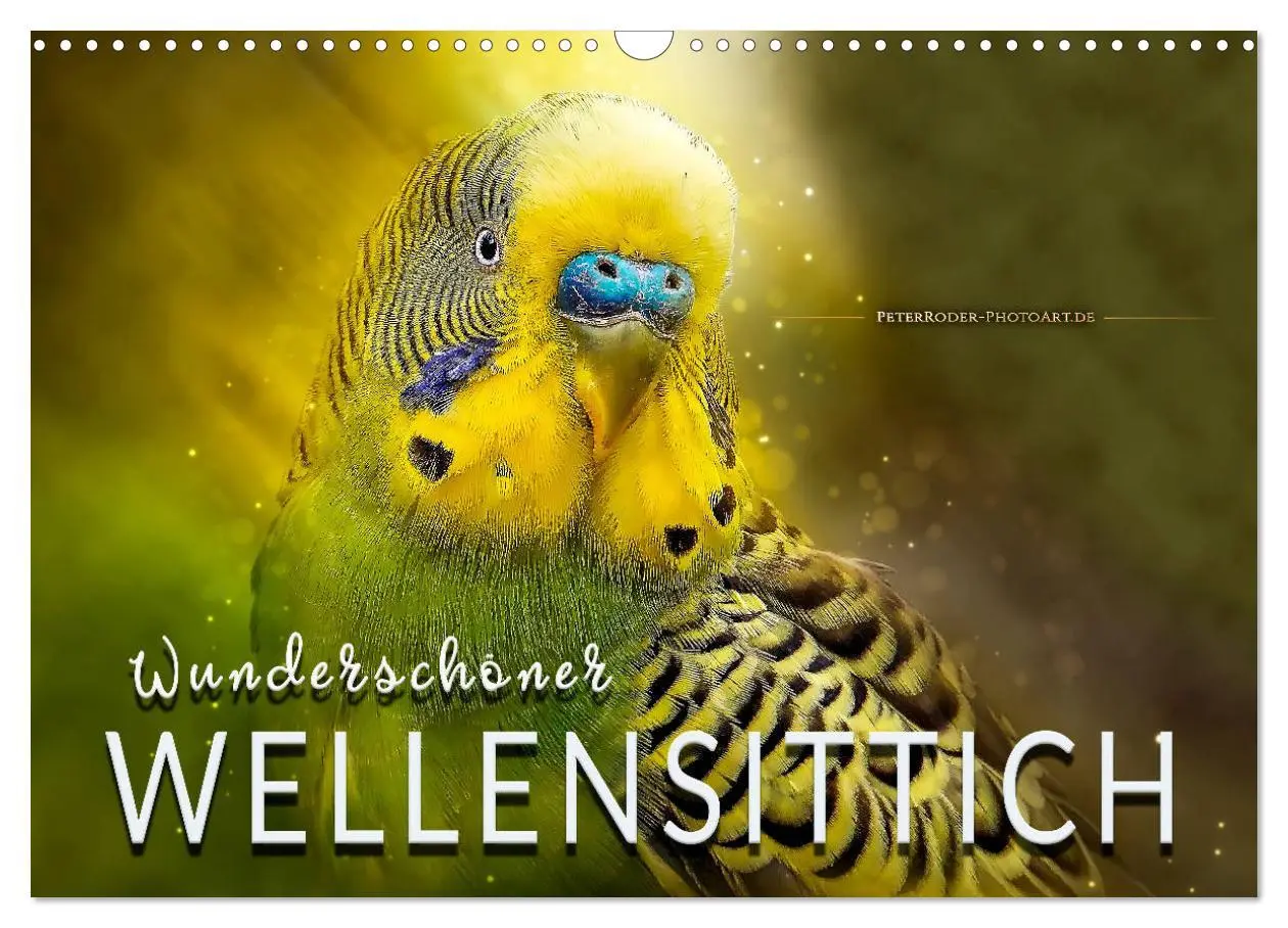 Cover: 9783457845813 | Wunderschöner Wellensittich (Wandkalender 2026 DIN A3 quer),...