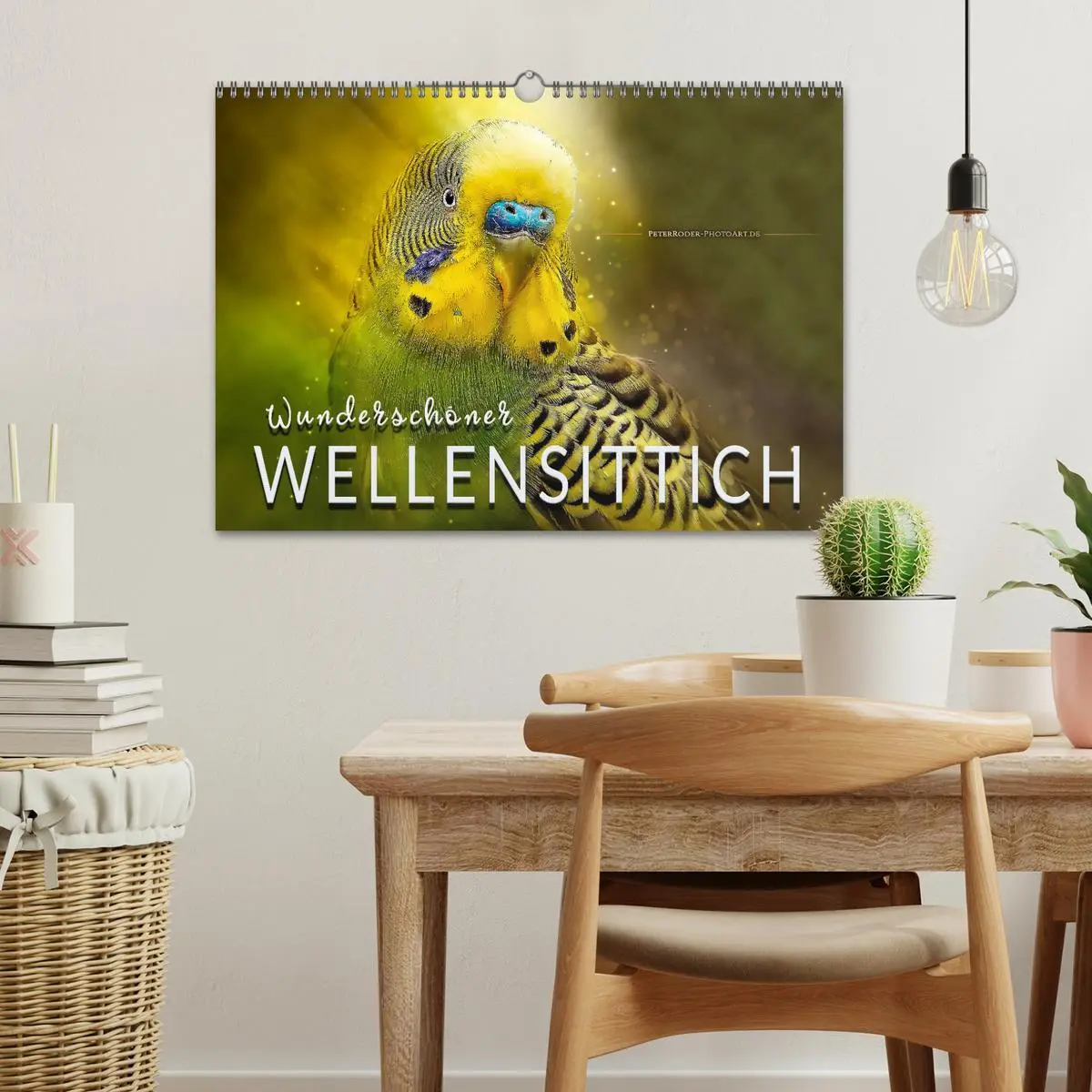 Bild: 9783457845813 | Wunderschöner Wellensittich (Wandkalender 2026 DIN A3 quer),...
