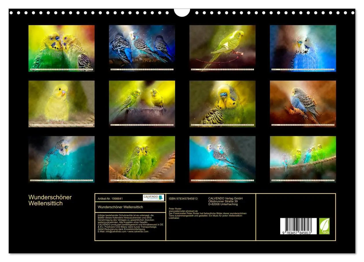 Bild: 9783457845813 | Wunderschöner Wellensittich (Wandkalender 2026 DIN A3 quer),...