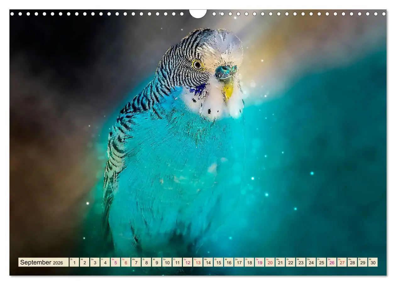 Bild: 9783457845813 | Wunderschöner Wellensittich (Wandkalender 2026 DIN A3 quer),...