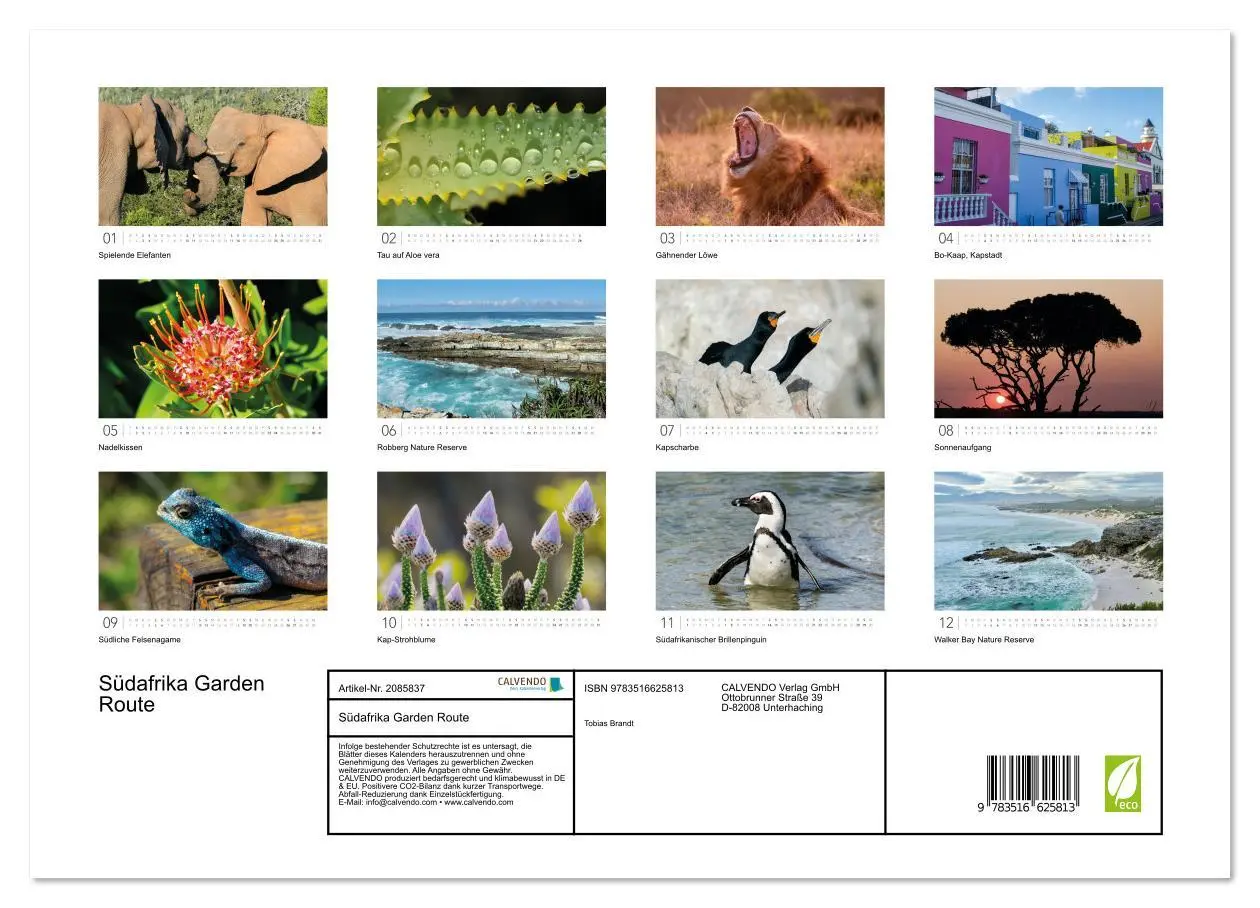 Bild: 9783516625813 | Südafrika Garden Route (hochwertiger Premium Wandkalender 2026 DIN...