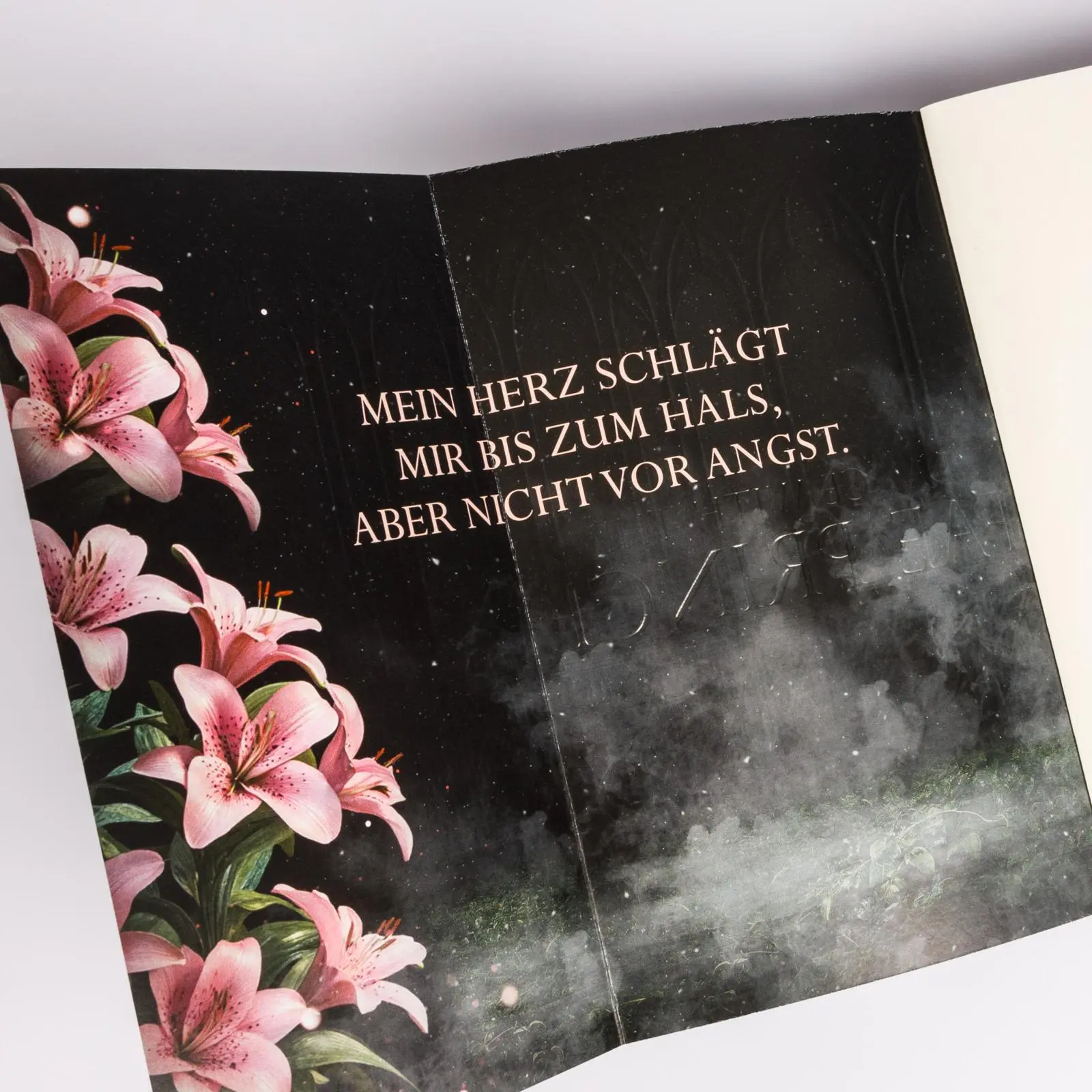 Bild: 9783551585813 | Married into Magic: Dance with the Fae Prince | Elise Kova | Buch