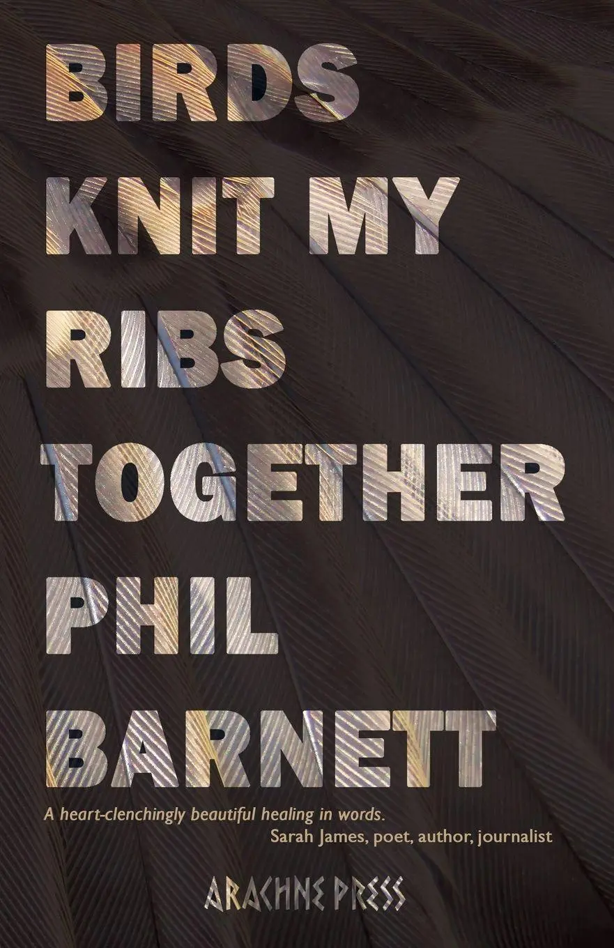 Cover: 9781913665913 | Birds Knit My Ribs Together | Phil Barnett | Taschenbuch | Englisch