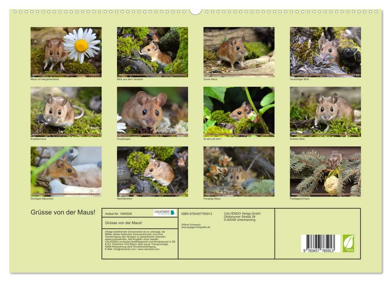 Bild: 9783457765913 | Grüsse von der Maus! (hochwertiger Premium Wandkalender 2026 DIN A2...