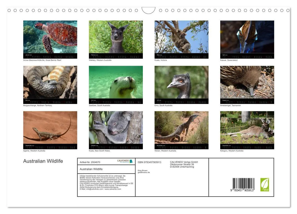 Bild: 9783457905913 | Australian Wildlife (Wandkalender 2026 DIN A3 quer), CALVENDO...