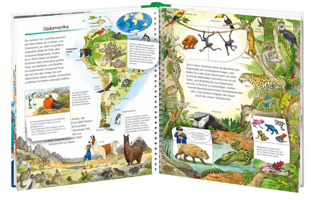 Bild: 9783473326013 | Wieso? Weshalb? Warum? Mein großer Tieratlas | Andrea Erne | Buch