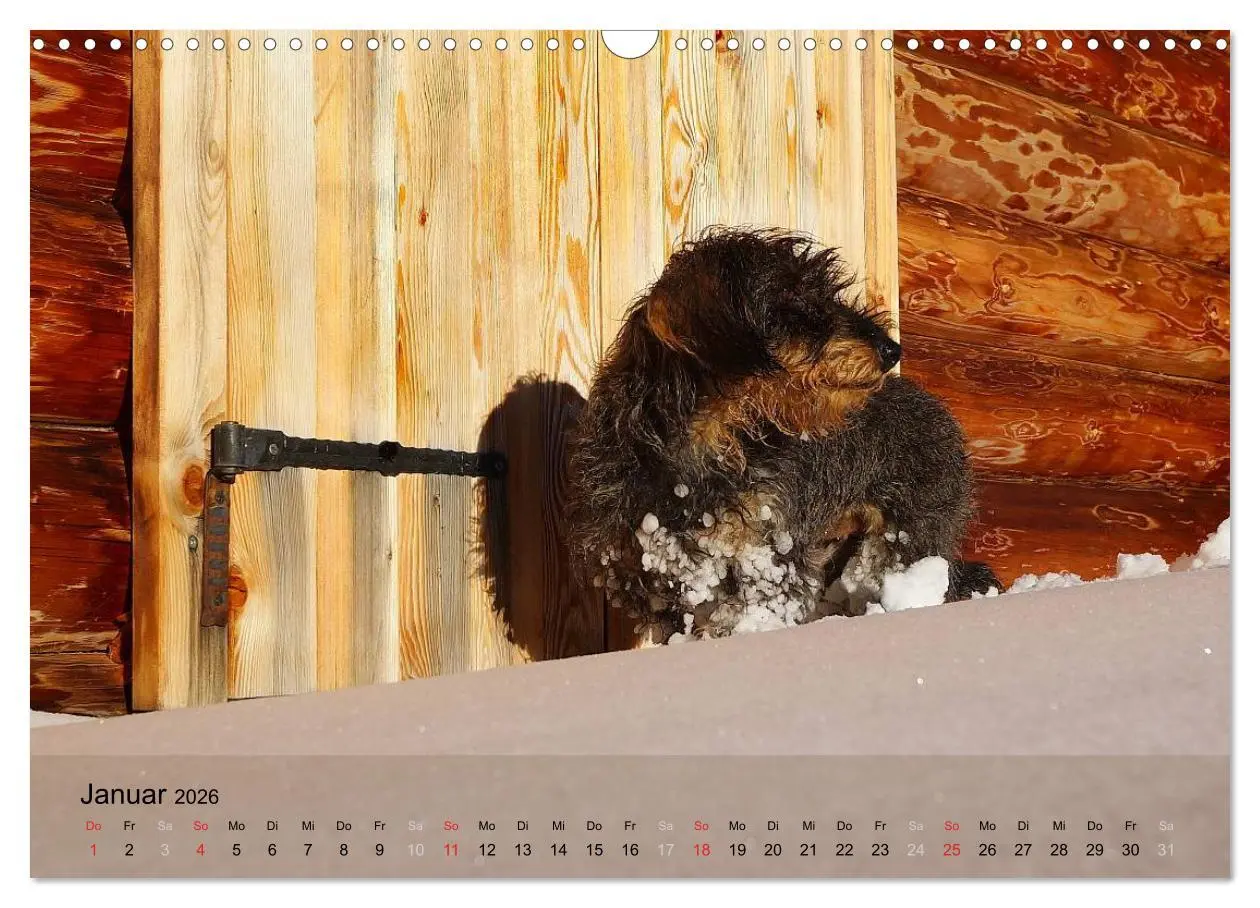 Bild: 9783516056013 | Liebenswerte Clowns (Wandkalender 2026 DIN A3 quer), CALVENDO...