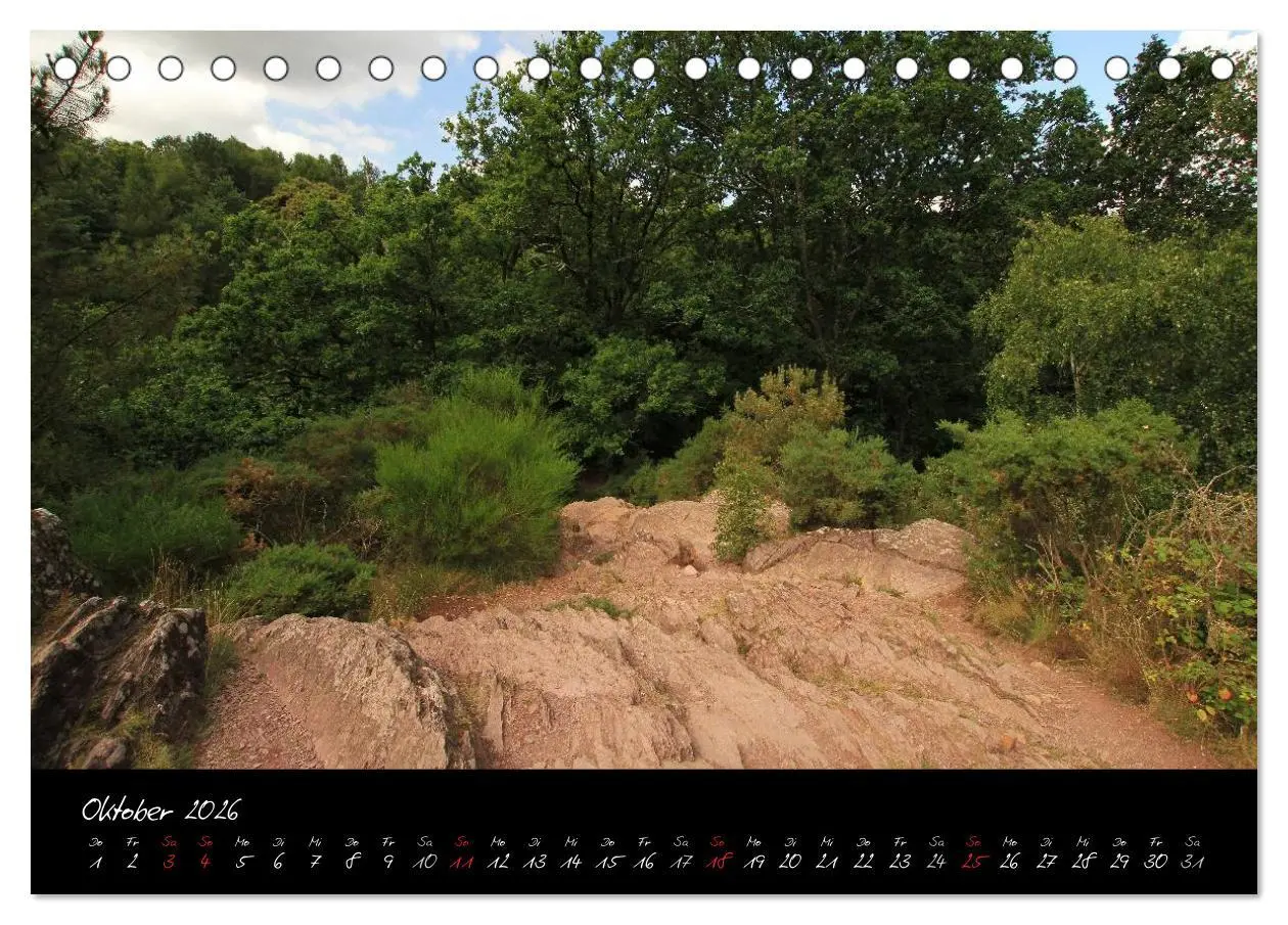 Bild: 9783516126013 | Brocéliande / Zauberwald der Bretagne (Tischkalender 2026 DIN A5...