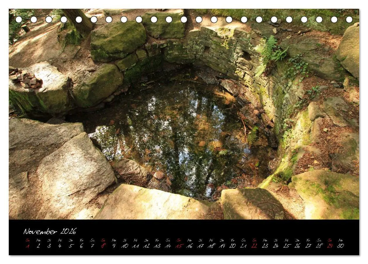 Bild: 9783516126013 | Brocéliande / Zauberwald der Bretagne (Tischkalender 2026 DIN A5...