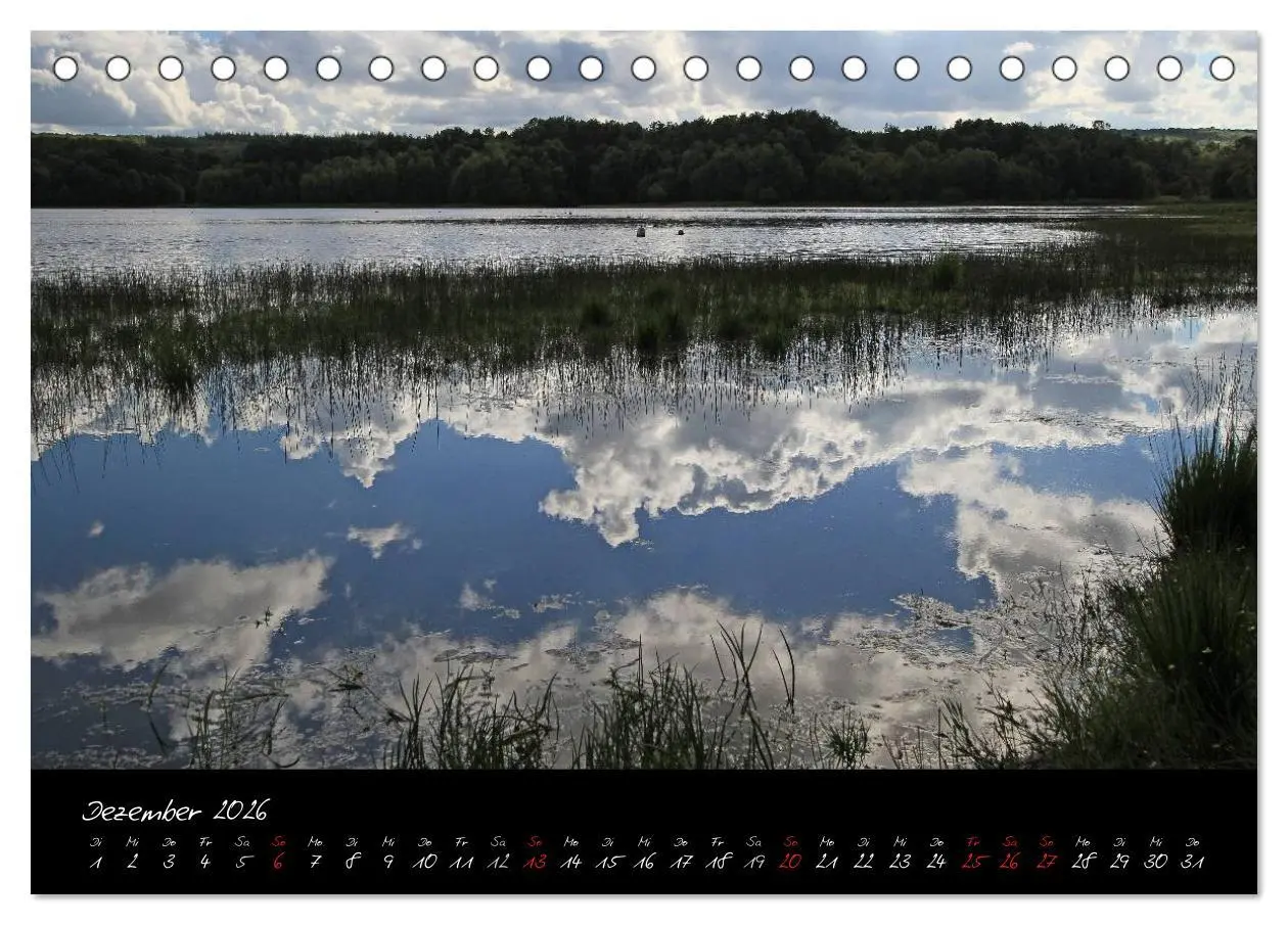 Bild: 9783516126013 | Brocéliande / Zauberwald der Bretagne (Tischkalender 2026 DIN A5...