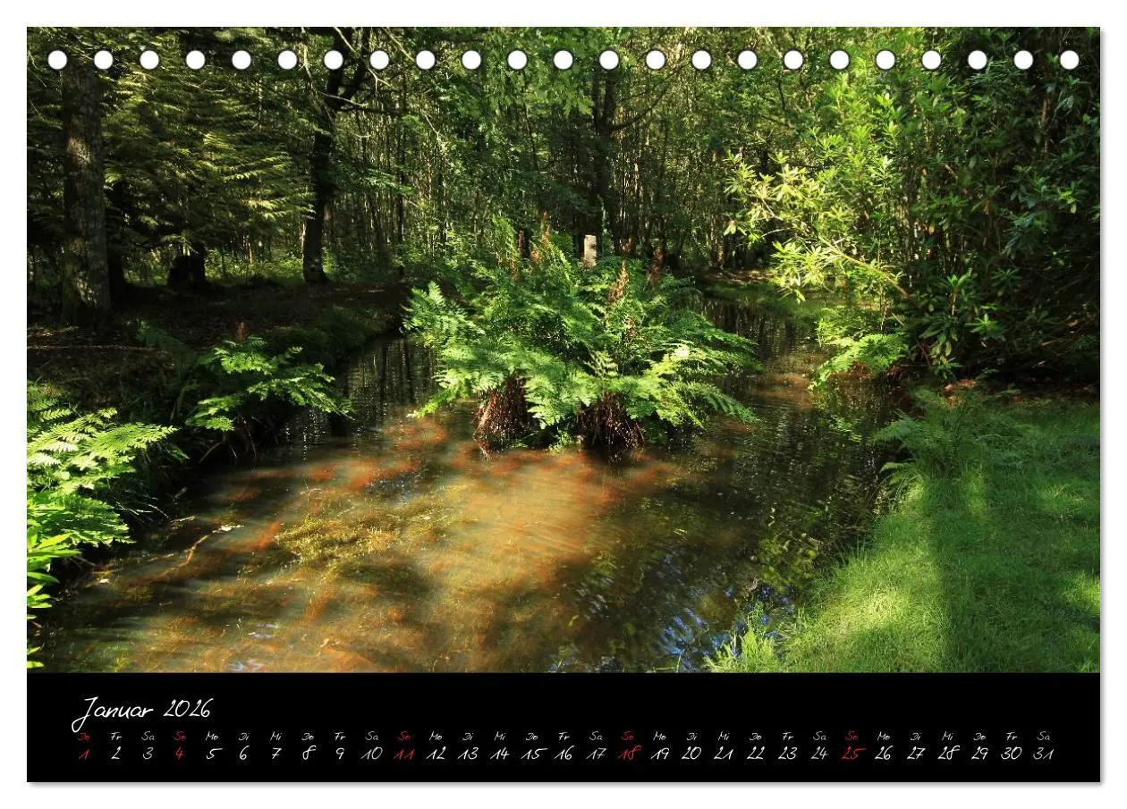 Bild: 9783516126013 | Brocéliande / Zauberwald der Bretagne (Tischkalender 2026 DIN A5...