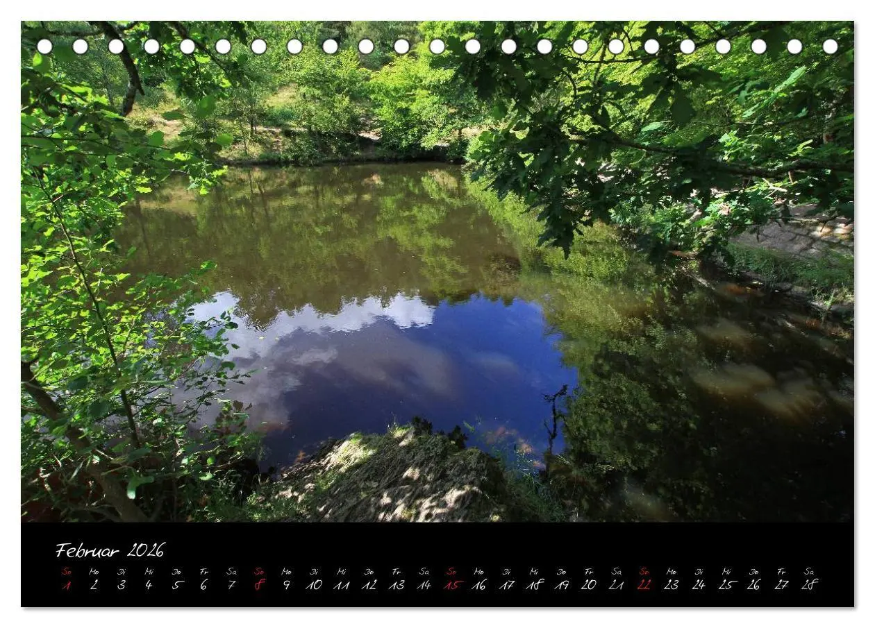 Bild: 9783516126013 | Brocéliande / Zauberwald der Bretagne (Tischkalender 2026 DIN A5...