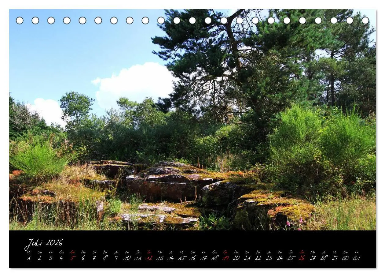 Bild: 9783516126013 | Brocéliande / Zauberwald der Bretagne (Tischkalender 2026 DIN A5...