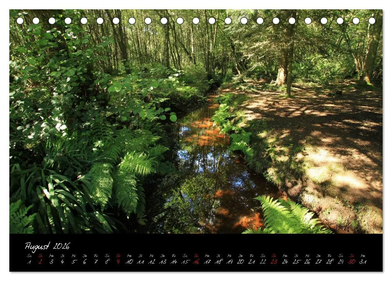 Bild: 9783516126013 | Brocéliande / Zauberwald der Bretagne (Tischkalender 2026 DIN A5...