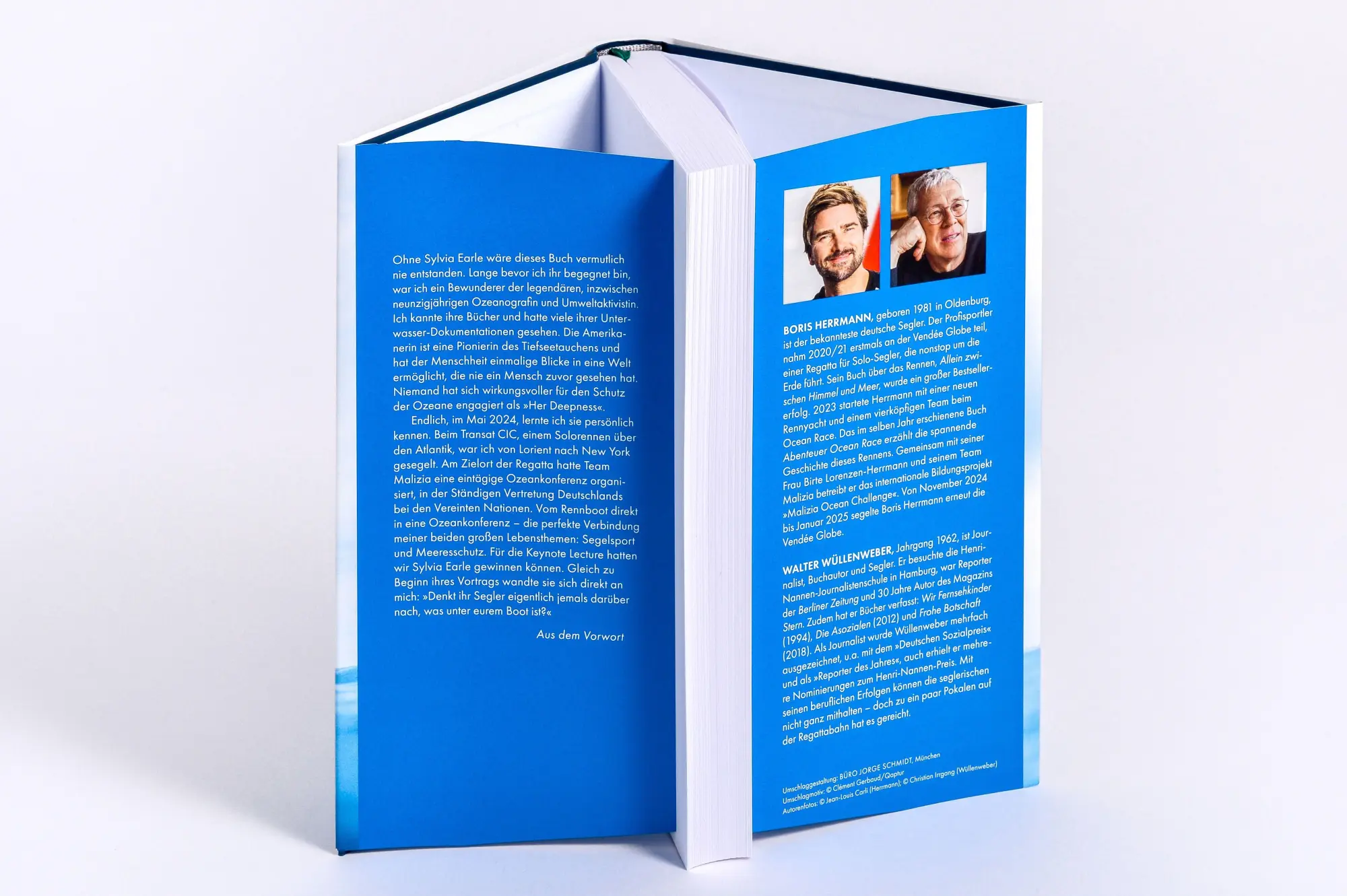 Bild: 9783570106013 | Die Welt unter meinem Boot | Boris Herrmann (u. a.) | Buch | 336 S.