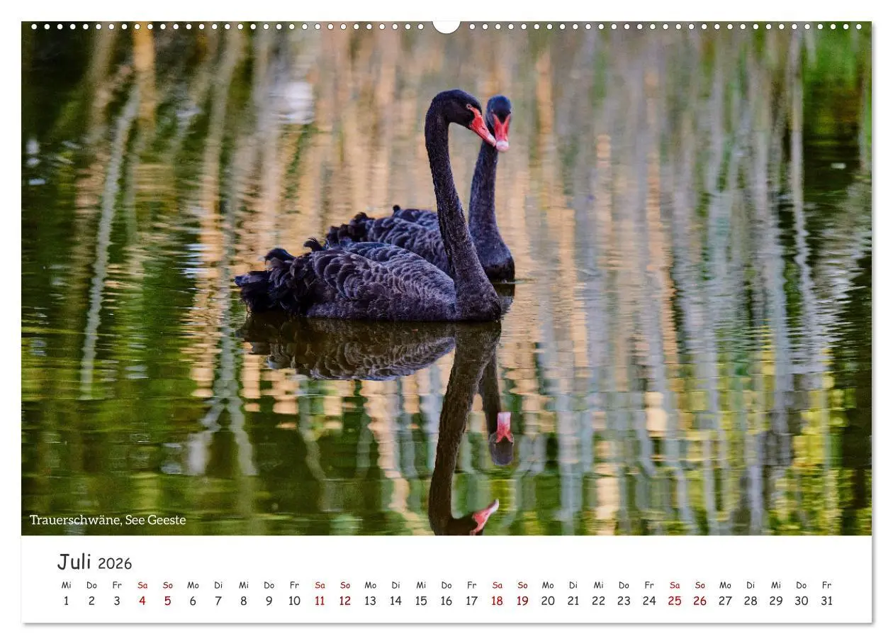 Bild: 9783457336113 | Emsland Impressionen (hochwertiger Premium Wandkalender 2026 DIN A2...