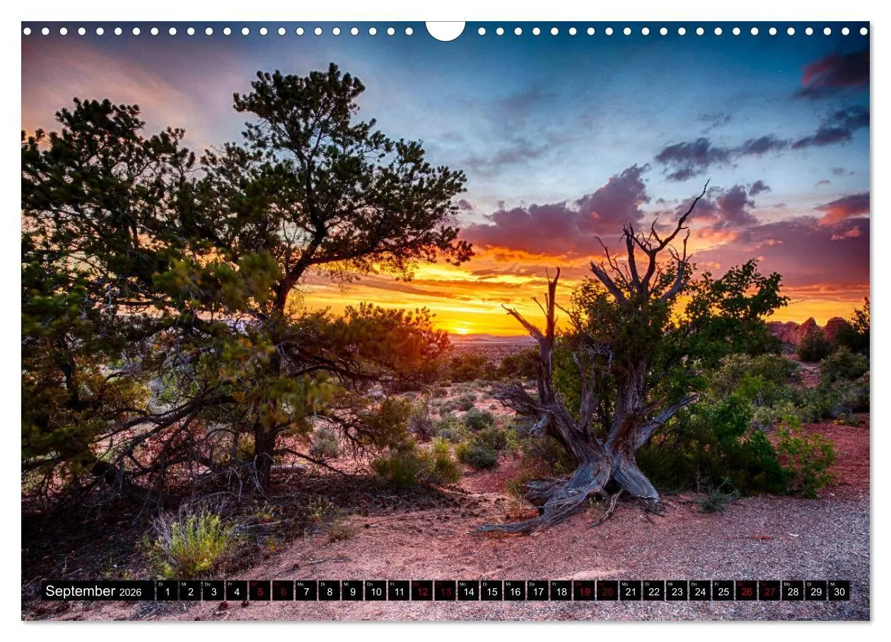 Bild: 9783457886113 | Landschaftliche Schätze (Wandkalender 2026 DIN A3 quer), CALVENDO...