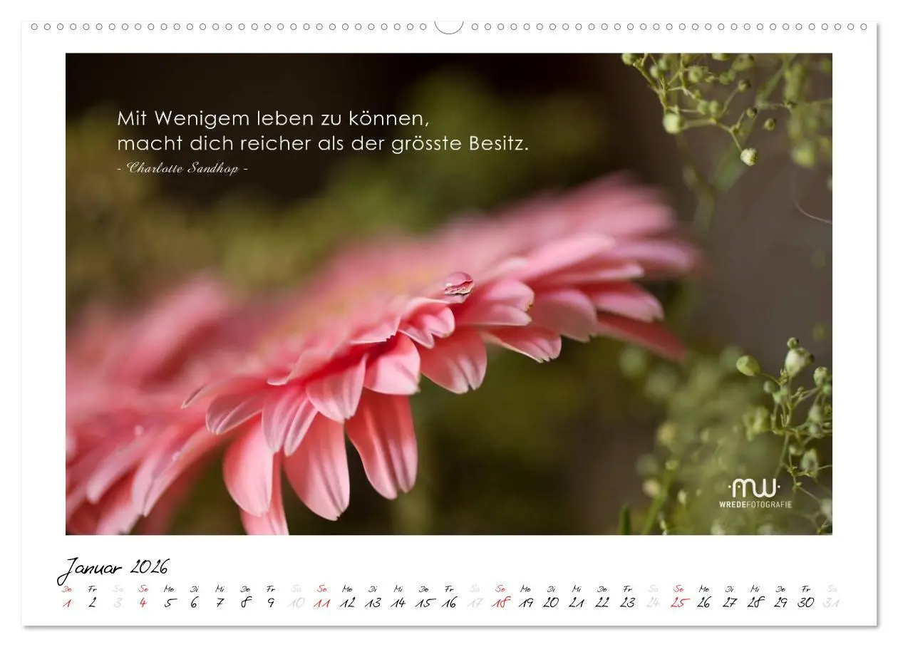 Bild: 9783516116113 | Gedanken... Bildkalender mit Sprüchen (hochwertiger Premium...