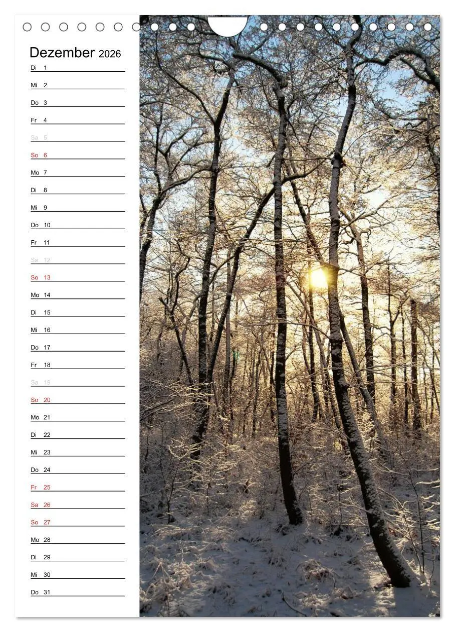 Bild: 9783516426113 | Land Brandenburg im Wechsel der Jahreszeiten (Wandkalender 2026 DIN...