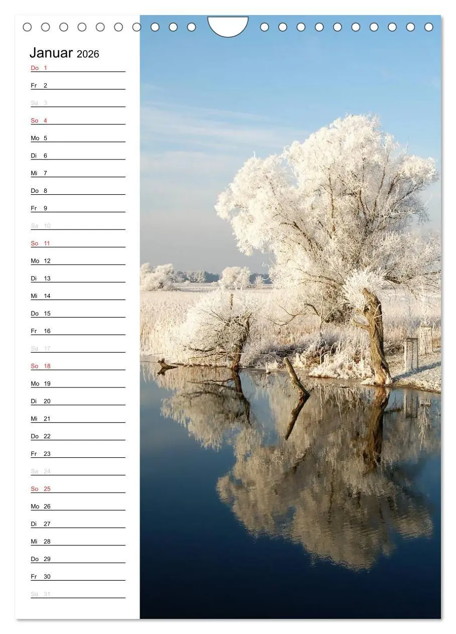 Bild: 9783516426113 | Land Brandenburg im Wechsel der Jahreszeiten (Wandkalender 2026 DIN...