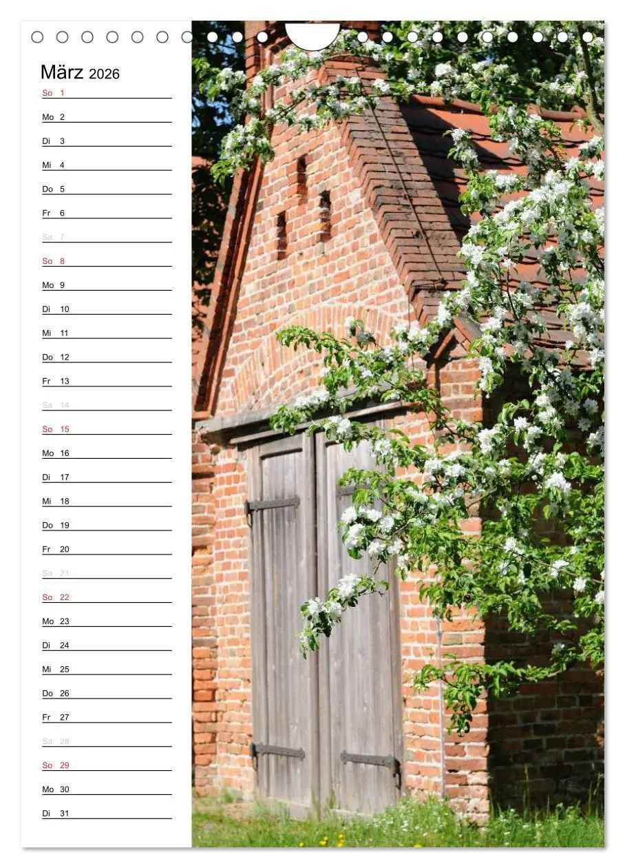 Bild: 9783516426113 | Land Brandenburg im Wechsel der Jahreszeiten (Wandkalender 2026 DIN...