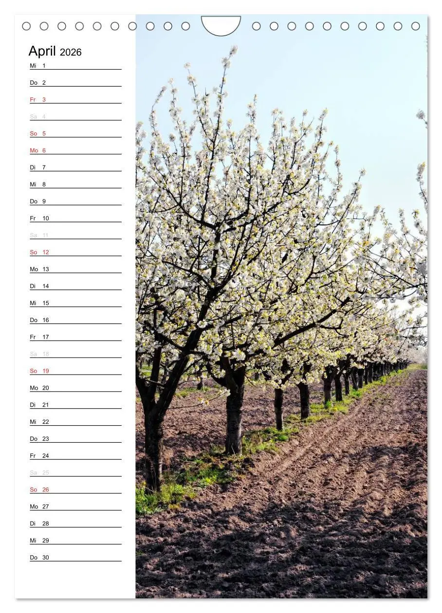 Bild: 9783516426113 | Land Brandenburg im Wechsel der Jahreszeiten (Wandkalender 2026 DIN...