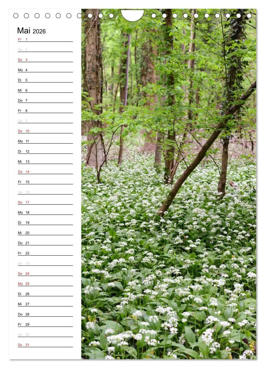 Bild: 9783516426113 | Land Brandenburg im Wechsel der Jahreszeiten (Wandkalender 2026 DIN...