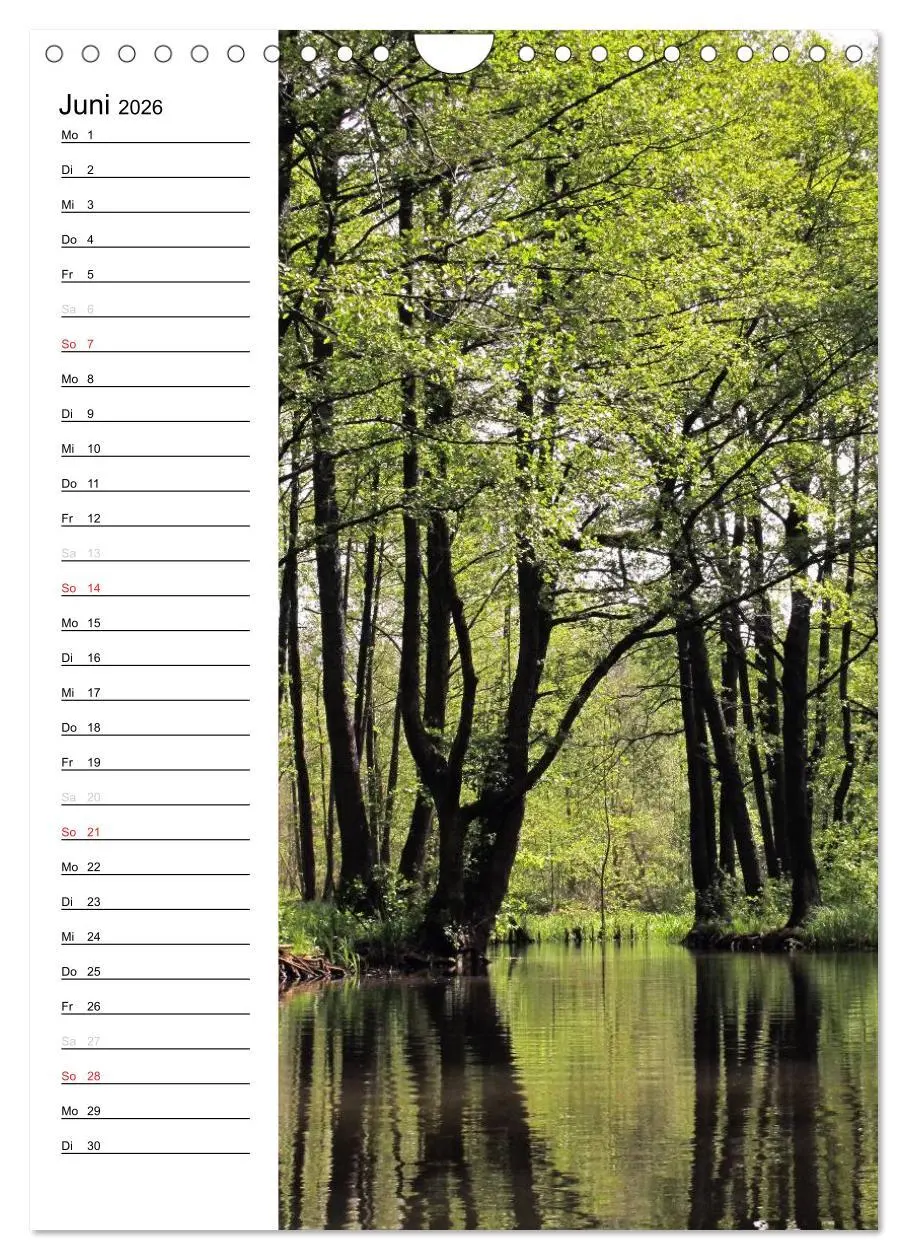 Bild: 9783516426113 | Land Brandenburg im Wechsel der Jahreszeiten (Wandkalender 2026 DIN...